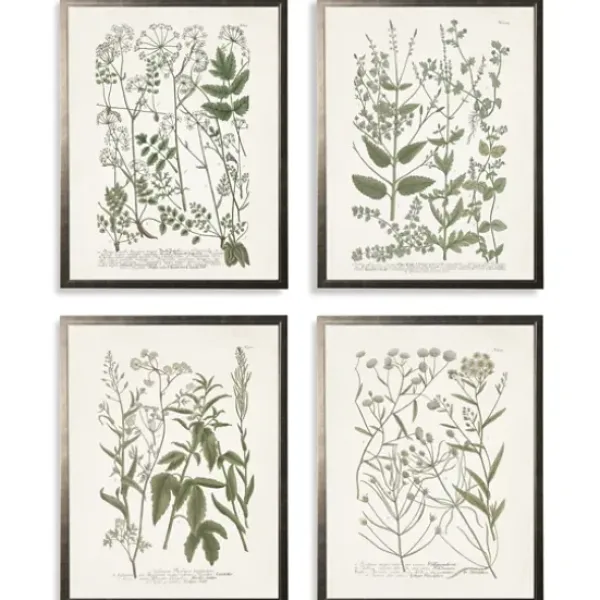 Framed Art-Kirkland's Home Greenery On Cream Back Framed Art Prints, Set Of 4 Green/Ivory