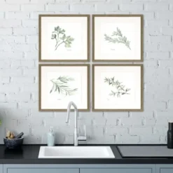 Framed Art-Kirkland's Home Herbs 4-Pc. Gold Framed Art Print Set Green