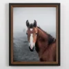 Framed Art-Kirkland's Home Highland Horse Framed Art Print Brown/Black