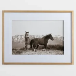 Framed Art-Kirkland's Home Horse Friends Framed Art Print Black/White