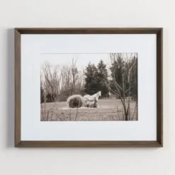 Framed Art-Kirkland's Home Horse Photography Framed Art Print Black/White