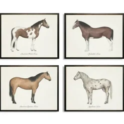 Framed Art-Kirkland's Home Horses Framed Art Prints, Set Of 4 White