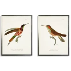 Framed Art-Kirkland's Home Hummingbirds I Framed Art Prints, Set Of 2 Multi
