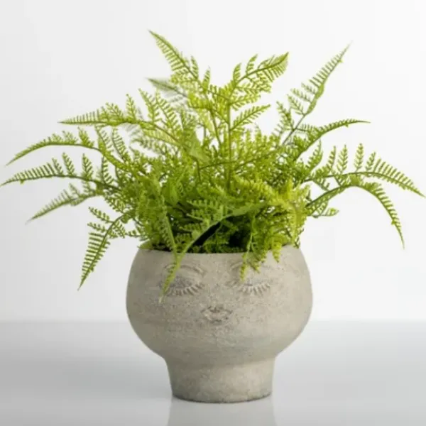 Arrangements & Greenery-Kirkland's Home Lace Fern Plant In Face Planter Green/Gray