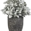 Arrangements & Greenery-Kirkland's Home Lamb'S Ear Arrangement In Textured Black Planter Green/Black