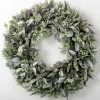 Wreaths-Kirkland's Home Lavender And Lamb'S Ear Wreath Green/Purple