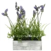 Arrangements & Greenery-Kirkland's Home Lavender Arrangement In Gray Planter Box Purple/Green/Gray