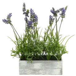 Arrangements & Greenery-Kirkland's Home Lavender Arrangement In Gray Planter Box Purple/Green/Gray