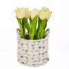 Arrangements & Greenery-Kirkland's Home Light Tulip Arrangement In Basket Yellow