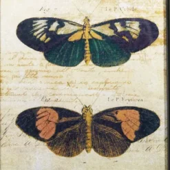 Framed Art-Kirkland's Home Literary Butterflies Framed Art Prints, Set Of 2 Brown/Yellow