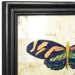 Framed Art-Kirkland's Home Literary Butterflies Framed Art Prints, Set Of 2 Brown/Yellow