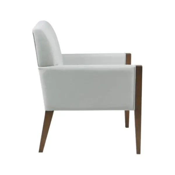 Accent Chairs-Kirkland's Home Martha Stewart Wood Trim Accent Chair Ivory
