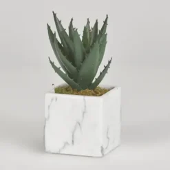Arrangements & Greenery-Kirkland's Home Mini Aloe Plant In White Marble Ceramic Cube Green