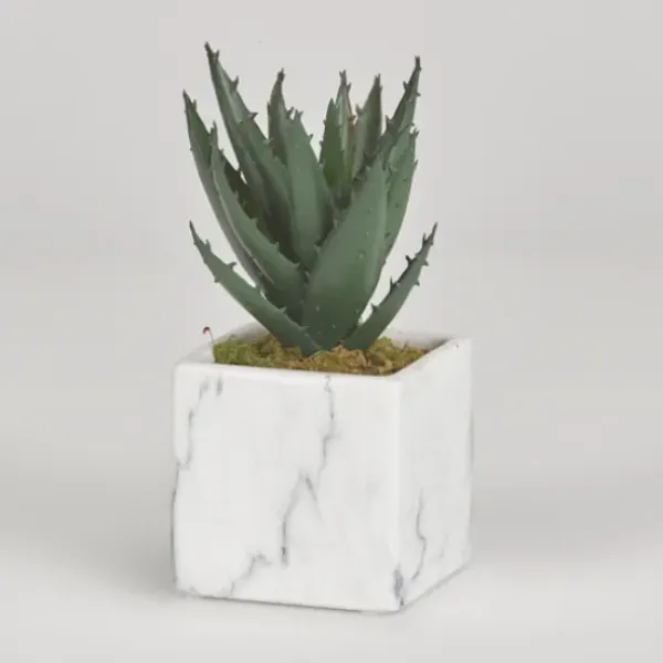 Arrangements & Greenery-Kirkland's Home Mini Aloe Plant In White Marble Ceramic Cube Green