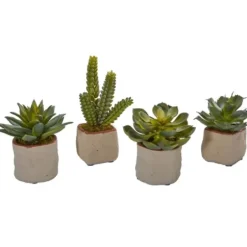 Arrangements & Greenery-Kirkland's Home Mixed Succulent Arrangements, Set Of 4 Green