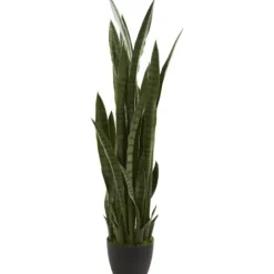 Arrangements & Greenery-Kirkland's Home Modern Potted Tri Snake Plant Green/Black