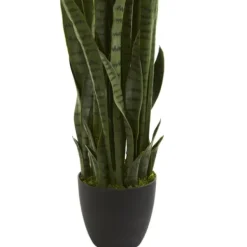 Arrangements & Greenery-Kirkland's Home Modern Potted Tri Snake Plant Green/Black