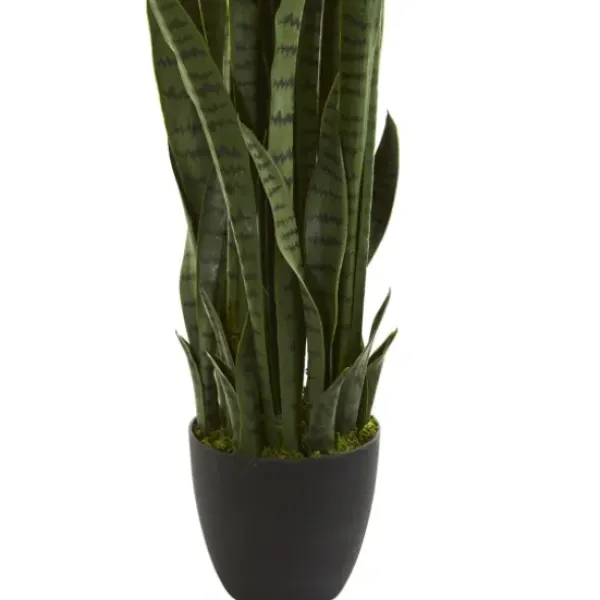 Arrangements & Greenery-Kirkland's Home Modern Potted Tri Snake Plant Green/Black