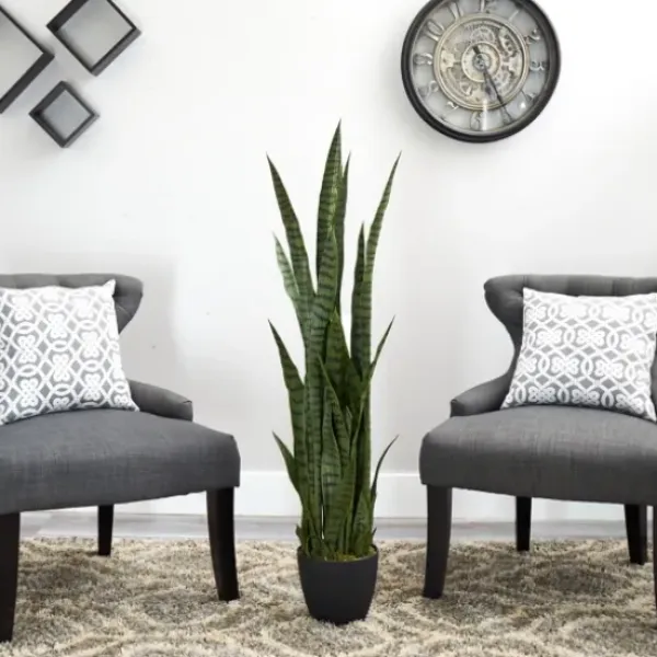 Arrangements & Greenery-Kirkland's Home Modern Potted Tri Snake Plant Green/Black