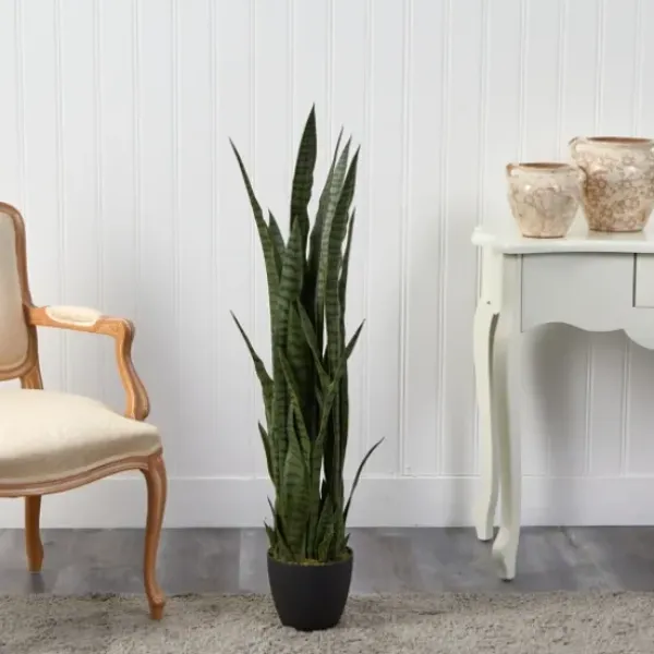Arrangements & Greenery-Kirkland's Home Modern Potted Tri Snake Plant Green/Black