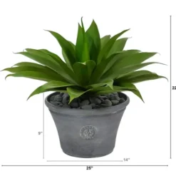 Arrangements & Greenery-Kirkland's Home Mojave Agave Succulent In Gray Planter Green/Brown