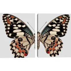 Wall Quotes & Signs-Kirkland's Home Monarch Butterfly I & Ii Canvas Prints, Set Of 2 Ivory/Multi