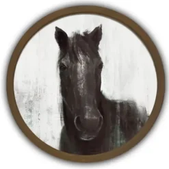 Framed Art-Kirkland's Home Moody Horse Round Brown Framed Art Print Brown/Black