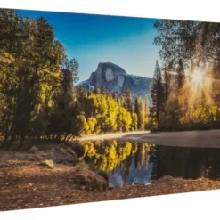 Framed Art-Kirkland's Home Morning In Paradise Glass Art Print Blue/Brown
