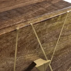 Dressers & Chests-Kirkland's Home Natural Mango Wood Chest With Brass Inlay