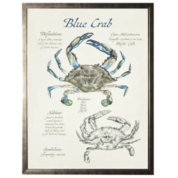 Framed Art-Kirkland's Home Nature Study Of A Blue Crab Framed Art Print Tan