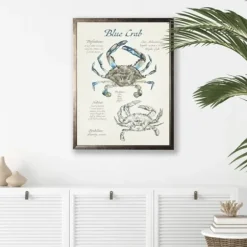 Framed Art-Kirkland's Home Nature Study Of A Blue Crab Framed Art Print Tan