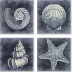 Framed Art-Kirkland's Home Nautical Seashells 4-Pc. Canvas Art Print Set Blue/White/Black