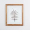 Framed Art-Kirkland's Home Neutral Fern Ii Framed Art Print Gray/White