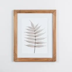 Framed Art-Kirkland's Home Neutral Fern Ii Framed Art Print Gray/White