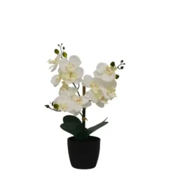 Arrangements & Greenery-Kirkland's Home Orchid Arrangement In Black Decorative Pot White/Black