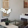 Arrangements & Greenery-Kirkland's Home Orchid Arrangement In Black Pot White/Black