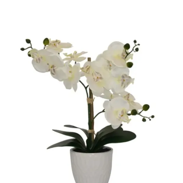 Arrangements & Greenery-Kirkland's Home Orchid Arrangement In Decorative Pot White
