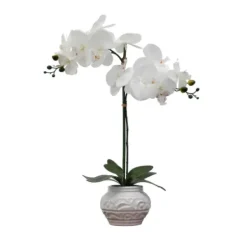 Arrangements & Greenery-Kirkland's Home Orchid Arrangement In Floral Planter White