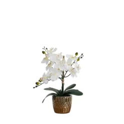 Arrangements & Greenery-Kirkland's Home Orchid Arrangement In Gold Decorative Pot White/Gold