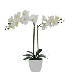 Arrangements & Greenery-Kirkland's Home Orchid Arrangement In Pot White