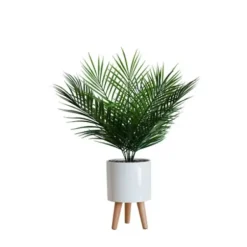 Arrangements & Greenery-Kirkland's Home Palm Arrangement In White Footed Pot Green/White