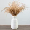 Arrangements & Greenery-Kirkland's Home Pampas Grass Bouquet In White Ceramic Vase Tan/White