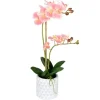 Arrangements & Greenery-Kirkland's Home Pink Orchid Real Touch Arrangement In Ceramic Pot Green/White/Pink
