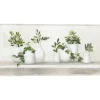 Framed Art-Kirkland's Home Plant Shelf Life Framed Canvas Art Print White/Ivory/Green
