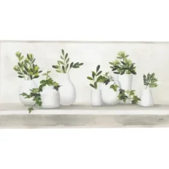 Framed Art-Kirkland's Home Plant Shelf Life Framed Canvas Art Print White/Ivory/Green