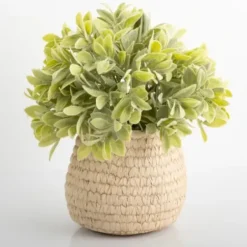 Arrangements & Greenery-Kirkland's Home Potted Ery Arrangement In Ceramic Vase Green