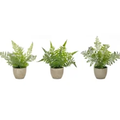 Arrangements & Greenery-Kirkland's Home Potted Fern Arrangements, Set Of 3 Green/Gray