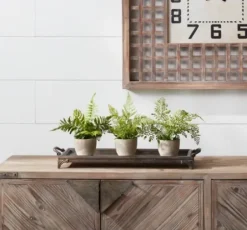Arrangements & Greenery-Kirkland's Home Potted Fern Arrangements, Set Of 3 Green/Gray