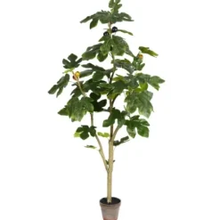 Trees & Topiaries-Kirkland's Home Potted Fig Fruit Tree, 4 Ft.