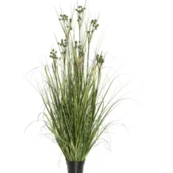 Arrangements & Greenery-Kirkland's Home Potted Grass With Pomp Balls Green